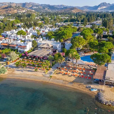 Ξενοδοχείο Seaside Club Αλικαρνασσός