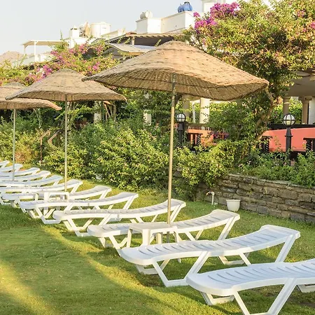 Seaside Club Отель