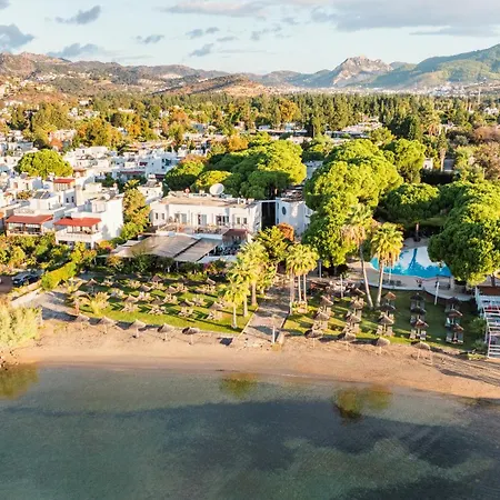Seaside Club מלון 3*